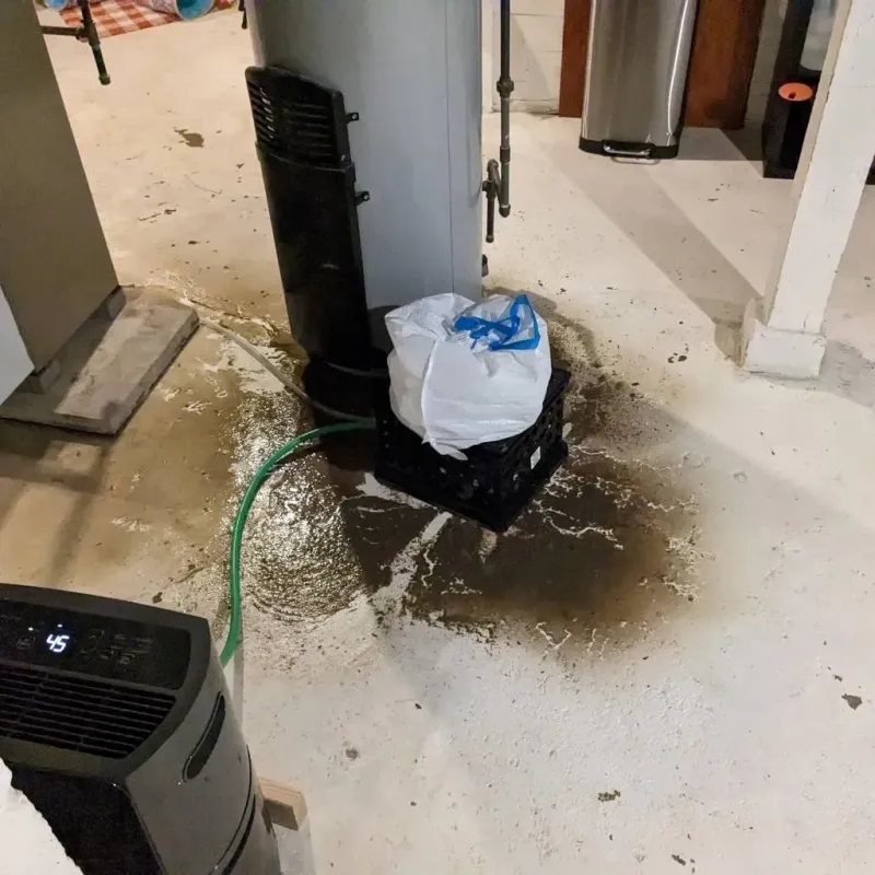 Sewage Backup Cleanup Service in Clayton, NM